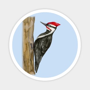 Pileated woodpecker watercolor Magnet